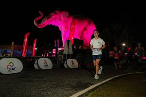 BIB: 
                            <button type="button" onclick="openModal(26534429)" class="btn btn-primary btn-sm float-right btn-popup" data-toggle="modal" data-target=".modal-high-quality">
                        <i class="fas fa-shopping-cart"></i> Add to Cart
                    </button>
                                            <button type="button" onclick="isThisMe(26534429, true)" class="btn btn-success btn-sm float-right btn-popup btn-isme hidden" data-toggle="tooltip" data-placement="bottom" title="นี่คือรูปของคุณใช่ไหม คลิกที่นี่เพื่อเอาเข้าอัลบั้ม">
                        <i class="fas fa-plus"></i> Add to album
                    </button>
                    <button type="button" onclick="isThisMe(26534429, false)" class="btn btn-warning btn-sm float-right btn-popup btn-isnotme hidden">
                        <i class="fas fa-ban"></i> Remove from album
                    </button>